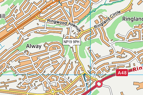 NP19 9PH map - OS VectorMap District (Ordnance Survey) NP19 9PH map - OS VectorMap District (Ordnance Survey)
