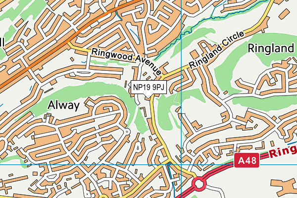 NP19 9PJ map - OS VectorMap District (Ordnance Survey) NP19 9PJ map - OS VectorMap District (Ordnance Survey)