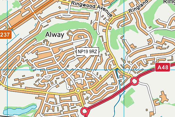 NP19 9RZ map - OS VectorMap District (Ordnance Survey) NP19 9RZ map - OS VectorMap District (Ordnance Survey)