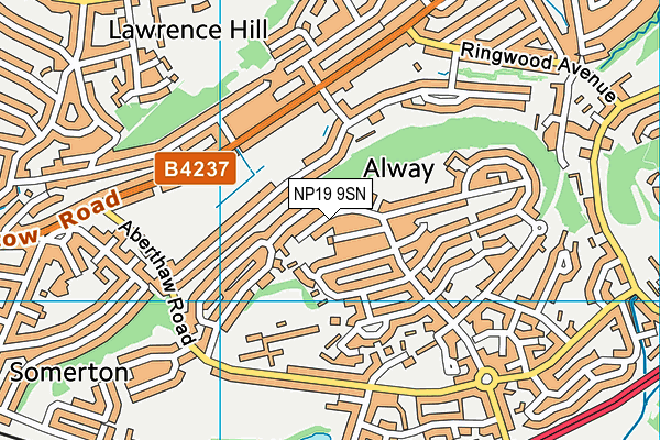 NP19 9SN map - OS VectorMap District (Ordnance Survey) NP19 9SN map - OS VectorMap District (Ordnance Survey)