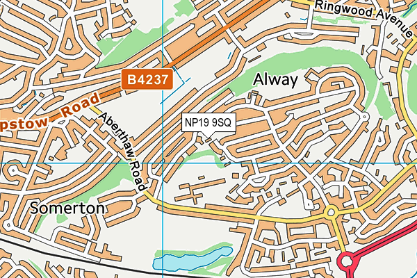 NP19 9SQ map - OS VectorMap District (Ordnance Survey) NP19 9SQ map - OS VectorMap District (Ordnance Survey)