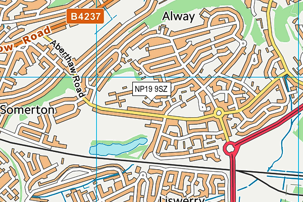 NP19 9SZ map - OS VectorMap District (Ordnance Survey) NP19 9SZ map - OS VectorMap District (Ordnance Survey)