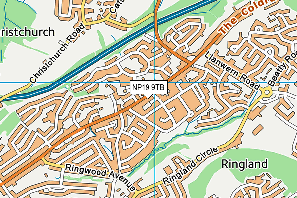 NP19 9TB map - OS VectorMap District (Ordnance Survey) NP19 9TB map - OS VectorMap District (Ordnance Survey)