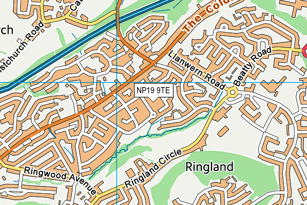NP19 9TE map - OS VectorMap District (Ordnance Survey)