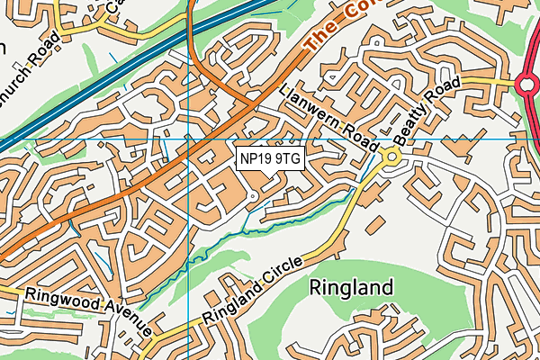 NP19 9TG map - OS VectorMap District (Ordnance Survey) NP19 9TG map - OS VectorMap District (Ordnance Survey)