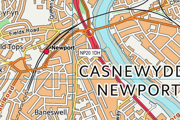 NP20 1DH map - OS VectorMap District (Ordnance Survey)