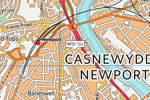NP20 1DJ map - OS VectorMap District (Ordnance Survey)