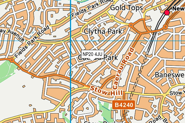 NP20 4JU map - OS VectorMap District (Ordnance Survey)
