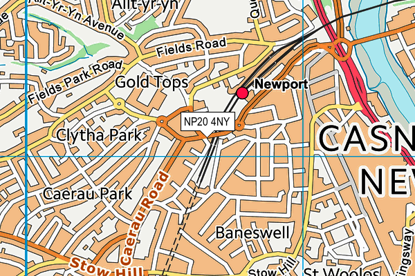 NP20 4NY map - OS VectorMap District (Ordnance Survey) NP20 4NY map - OS VectorMap District (Ordnance Survey)