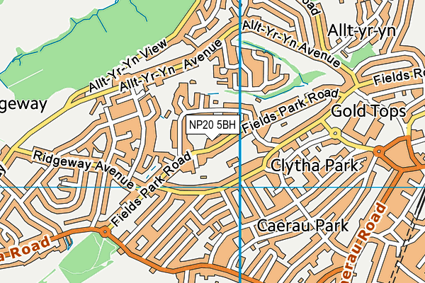 NP20 5BH map - OS VectorMap District (Ordnance Survey) NP20 5BH map - OS VectorMap District (Ordnance Survey)
