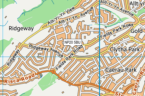 NP20 5BU map - OS VectorMap District (Ordnance Survey) NP20 5BU map - OS VectorMap District (Ordnance Survey)