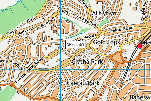 NP20 5BW map - OS VectorMap District (Ordnance Survey) NP20 5BW map - OS VectorMap District (Ordnance Survey)