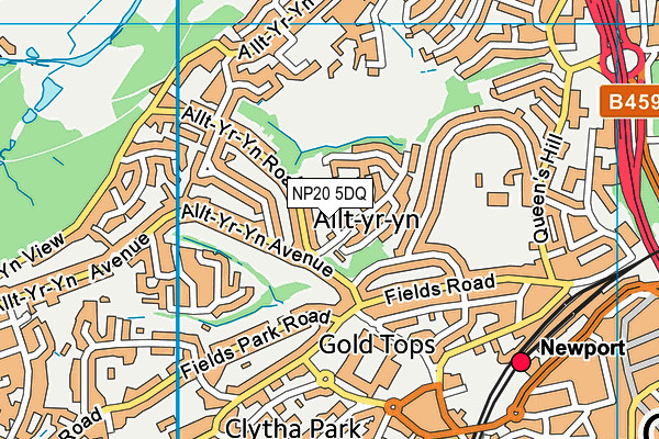 NP20 5DQ map - OS VectorMap District (Ordnance Survey) NP20 5DQ map - OS VectorMap District (Ordnance Survey)