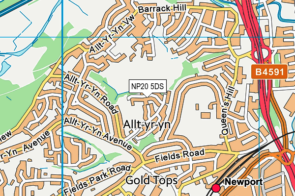 NP20 5DS map - OS VectorMap District (Ordnance Survey) NP20 5DS map - OS VectorMap District (Ordnance Survey)