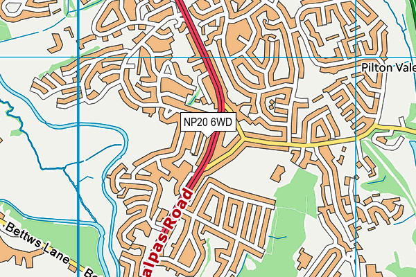 NP20 6WD map - OS VectorMap District (Ordnance Survey) NP20 6WD map - OS VectorMap District (Ordnance Survey)
