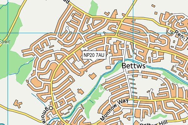 NP20 7AU map - OS VectorMap District (Ordnance Survey) NP20 7AU map - OS VectorMap District (Ordnance Survey)