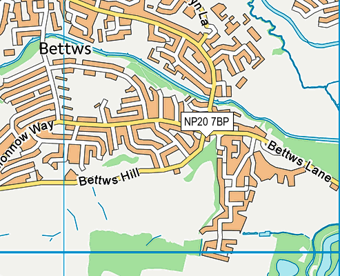 NP20 7BP map - OS VectorMap District (Ordnance Survey) NP20 7BP map - OS VectorMap District (Ordnance Survey)