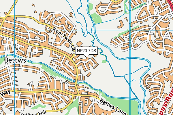 NP20 7DS map - OS VectorMap District (Ordnance Survey) NP20 7DS map - OS VectorMap District (Ordnance Survey)