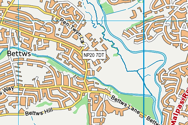 NP20 7DT map - OS VectorMap District (Ordnance Survey) NP20 7DT map - OS VectorMap District (Ordnance Survey)
