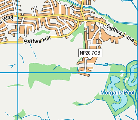 NP20 7GB map - OS VectorMap District (Ordnance Survey) NP20 7GB map - OS VectorMap District (Ordnance Survey)