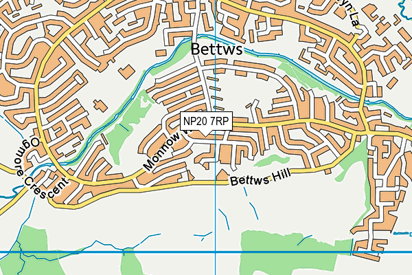 NP20 7RP map - OS VectorMap District (Ordnance Survey) NP20 7RP map - OS VectorMap District (Ordnance Survey)