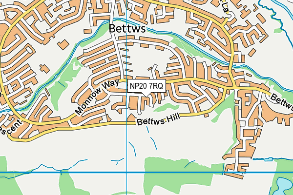 NP20 7RQ map - OS VectorMap District (Ordnance Survey) NP20 7RQ map - OS VectorMap District (Ordnance Survey)