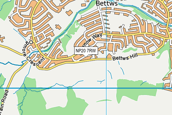 NP20 7RW map - OS VectorMap District (Ordnance Survey) NP20 7RW map - OS VectorMap District (Ordnance Survey)