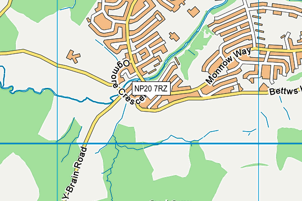 NP20 7RZ map - OS VectorMap District (Ordnance Survey) NP20 7RZ map - OS VectorMap District (Ordnance Survey)