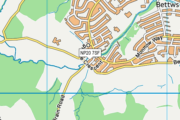 NP20 7SF map - OS VectorMap District (Ordnance Survey) NP20 7SF map - OS VectorMap District (Ordnance Survey)