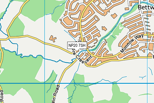 NP20 7SH map - OS VectorMap District (Ordnance Survey) NP20 7SH map - OS VectorMap District (Ordnance Survey)