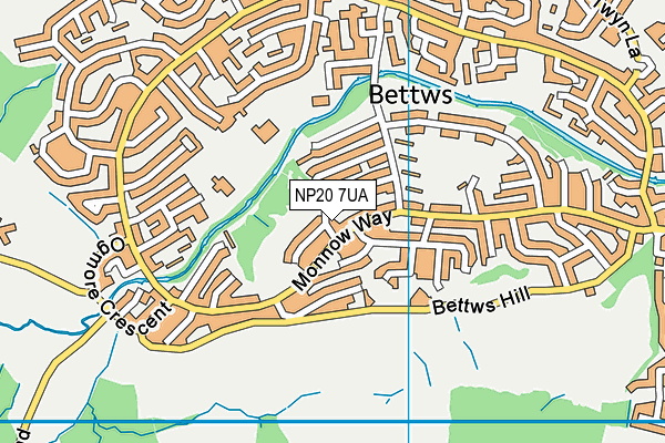 NP20 7UA map - OS VectorMap District (Ordnance Survey)