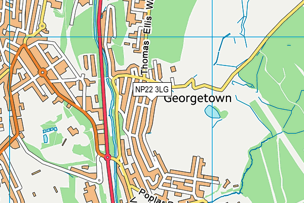NP22 3LG map - OS VectorMap District (Ordnance Survey) NP22 3LG map - OS VectorMap District (Ordnance Survey)