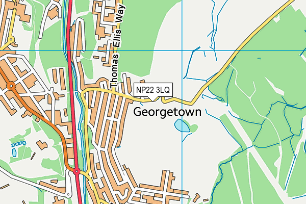 NP22 3LQ map - OS VectorMap District (Ordnance Survey) NP22 3LQ map - OS VectorMap District (Ordnance Survey)