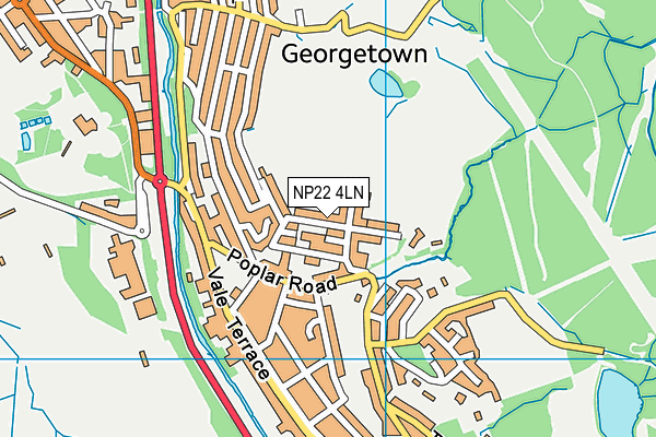 NP22 4LN map - OS VectorMap District (Ordnance Survey) NP22 4LN map - OS VectorMap District (Ordnance Survey)
