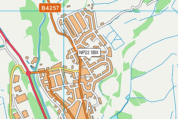 NP22 5BX map - OS VectorMap District (Ordnance Survey) NP22 5BX map - OS VectorMap District (Ordnance Survey)