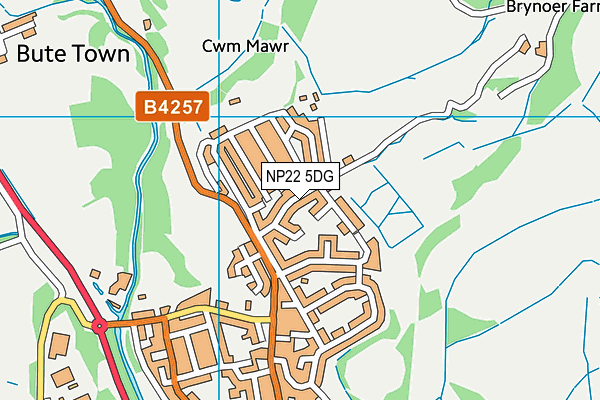 NP22 5DG map - OS VectorMap District (Ordnance Survey) NP22 5DG map - OS VectorMap District (Ordnance Survey)