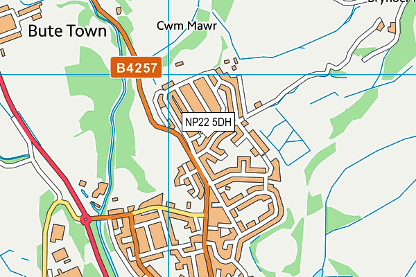 NP22 5DH map - OS VectorMap District (Ordnance Survey) NP22 5DH map - OS VectorMap District (Ordnance Survey)