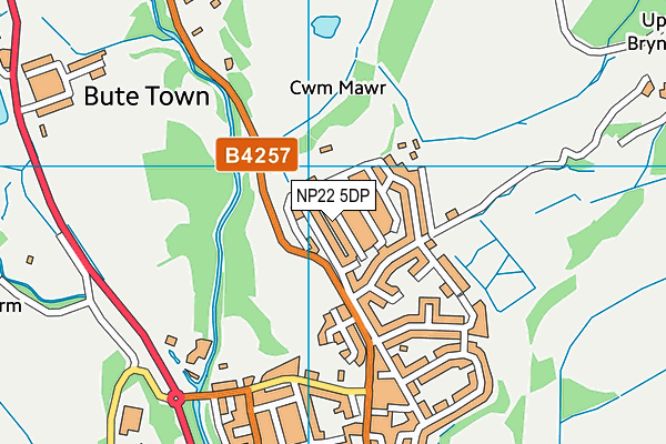 NP22 5DP map - OS VectorMap District (Ordnance Survey) NP22 5DP map - OS VectorMap District (Ordnance Survey)