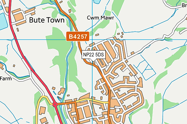 NP22 5DS map - OS VectorMap District (Ordnance Survey) NP22 5DS map - OS VectorMap District (Ordnance Survey)