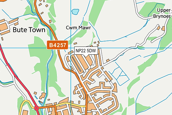 NP22 5DW map - OS VectorMap District (Ordnance Survey) NP22 5DW map - OS VectorMap District (Ordnance Survey)