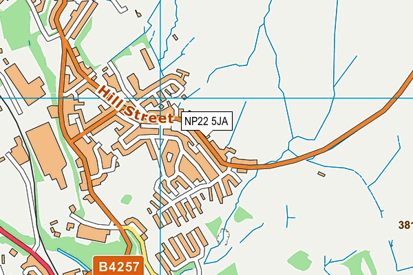 NP22 5JA map - OS VectorMap District (Ordnance Survey) NP22 5JA map - OS VectorMap District (Ordnance Survey)