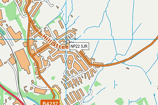 NP22 5JR map - OS VectorMap District (Ordnance Survey)