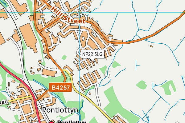 NP22 5LG map - OS VectorMap District (Ordnance Survey) NP22 5LG map - OS VectorMap District (Ordnance Survey)