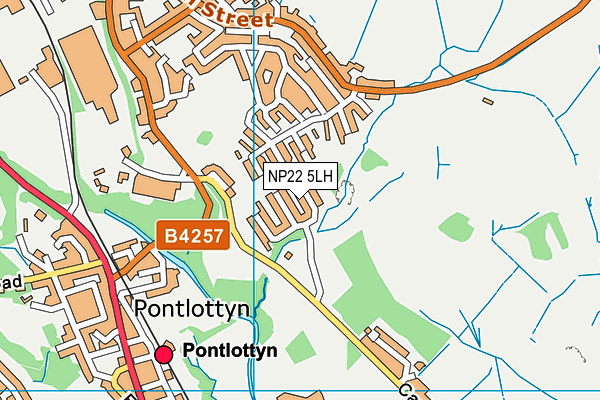 NP22 5LH map - OS VectorMap District (Ordnance Survey) NP22 5LH map - OS VectorMap District (Ordnance Survey)