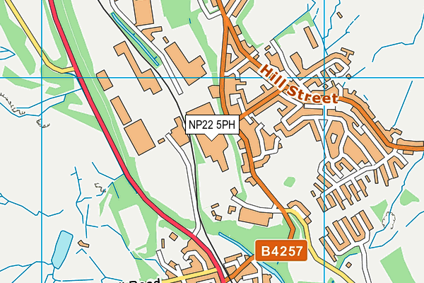 NP22 5PH map - OS VectorMap District (Ordnance Survey) NP22 5PH map - OS VectorMap District (Ordnance Survey)