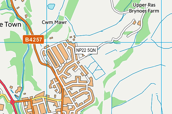 NP22 5QN map - OS VectorMap District (Ordnance Survey) NP22 5QN map - OS VectorMap District (Ordnance Survey)