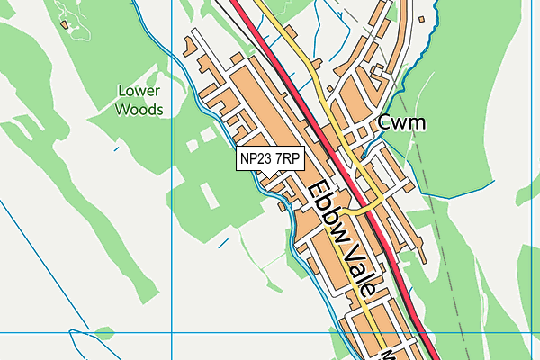 NP23 7RP map - OS VectorMap District (Ordnance Survey) NP23 7RP map - OS VectorMap District (Ordnance Survey)