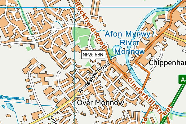NP25 5BR map - OS VectorMap District (Ordnance Survey)