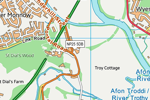 NP25 5DB map - OS VectorMap District (Ordnance Survey) NP25 5DB map - OS VectorMap District (Ordnance Survey)