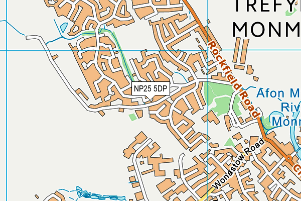 NP25 5DP map - OS VectorMap District (Ordnance Survey) NP25 5DP map - OS VectorMap District (Ordnance Survey)